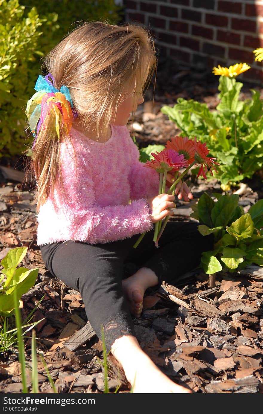 A little girl picking flowers from her mother's garden. A little girl picking flowers from her mother's garden