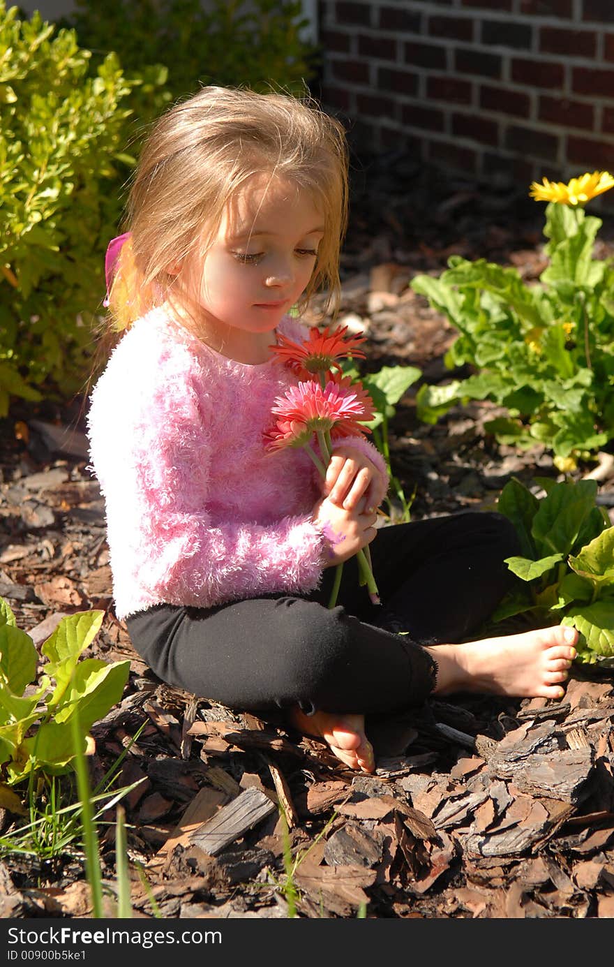 A little girl picking flowers from her mother's garden. A little girl picking flowers from her mother's garden