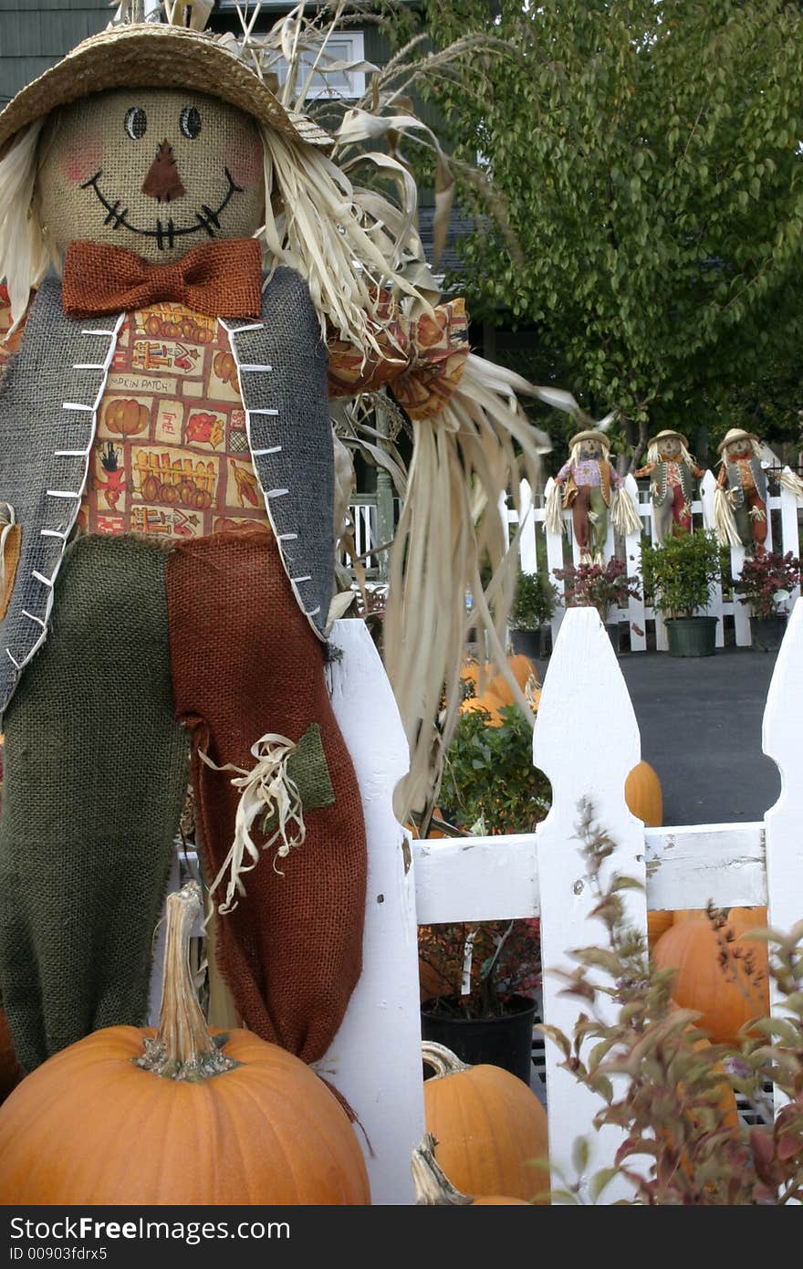 Scarecrow on white picket fence.