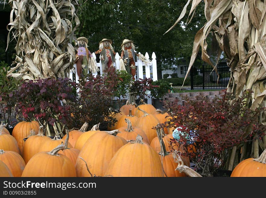 Pumpkins for sale at a farm market with scarecrows and cornstalks in the background.