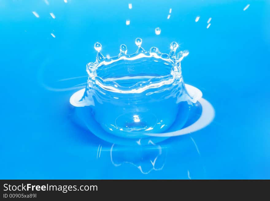 Light-blue water bowl