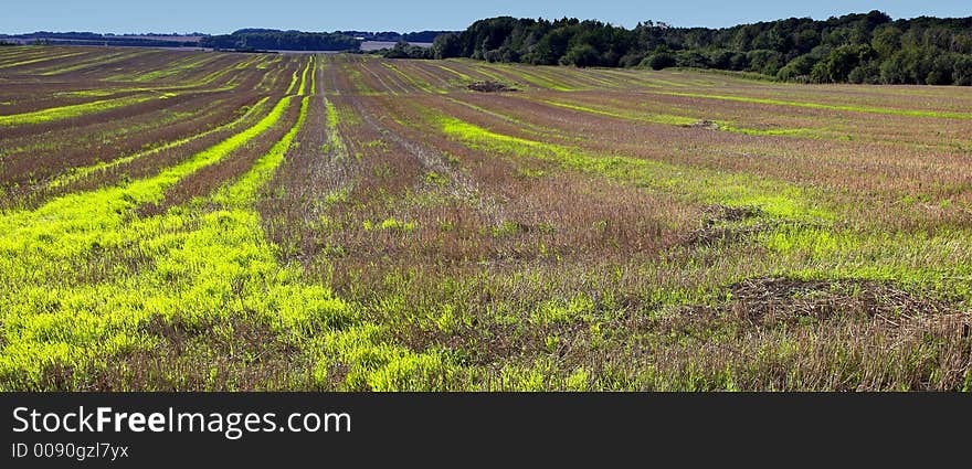 Farmland panorama (after harvest in Denmark). Farmland panorama (after harvest in Denmark)