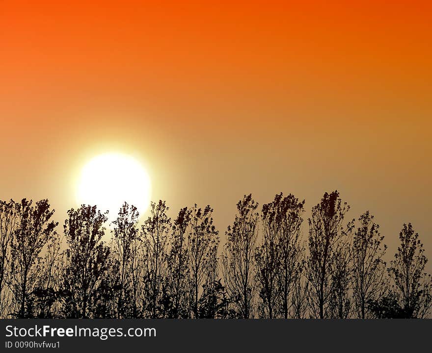 Sunset background in wintertime - usefull as background