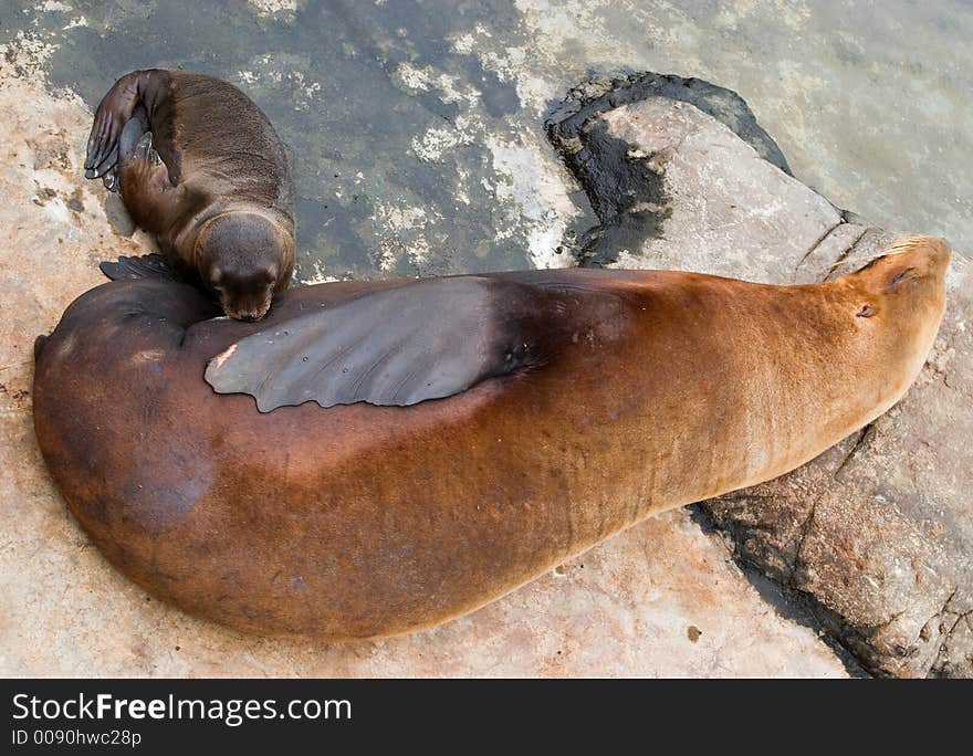 A baby was feeding and the mother was enjoying a peaceful afternoon. A baby was feeding and the mother was enjoying a peaceful afternoon