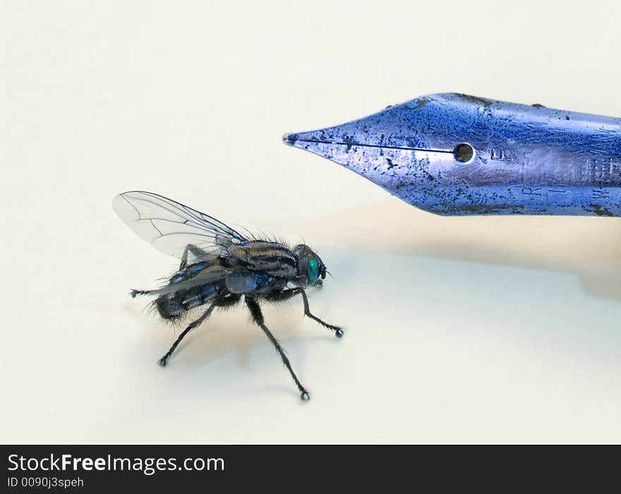 Macro photo of fly and old pen