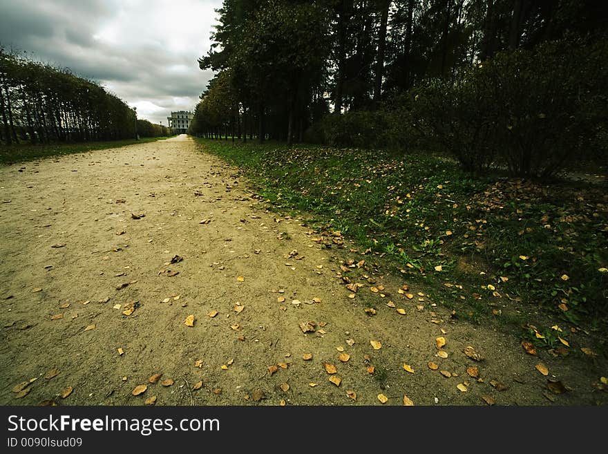 Avenue in bad autumn weather