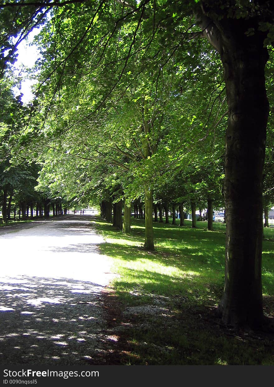 Green Alley