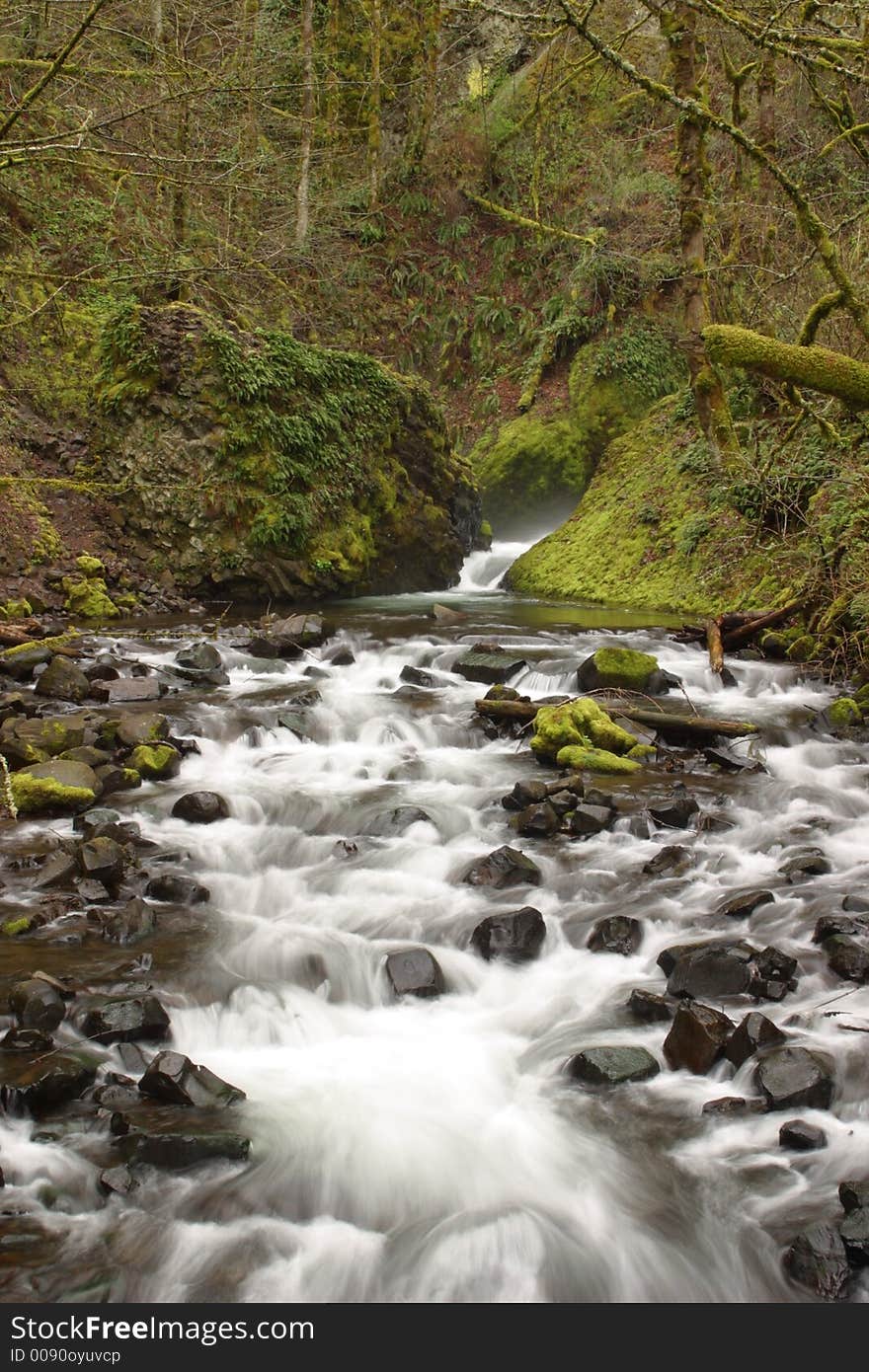 Bridal Veil Creek in teh Columbia River Gorge National Scenic Area