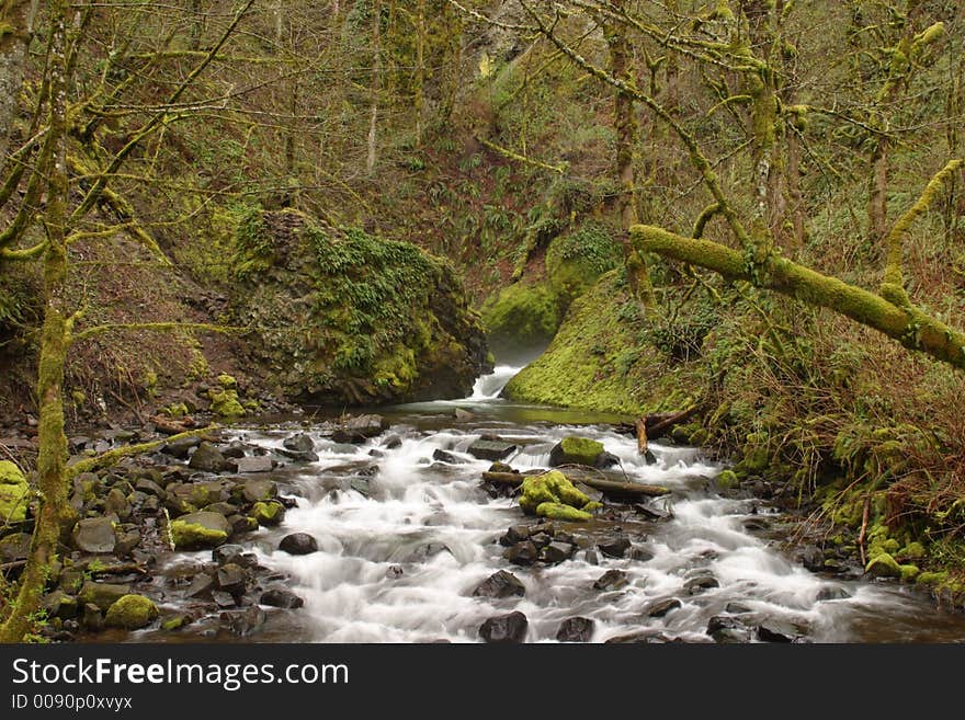 Bridal Veil Creek in teh Columbia River Gorge National Scenic Area