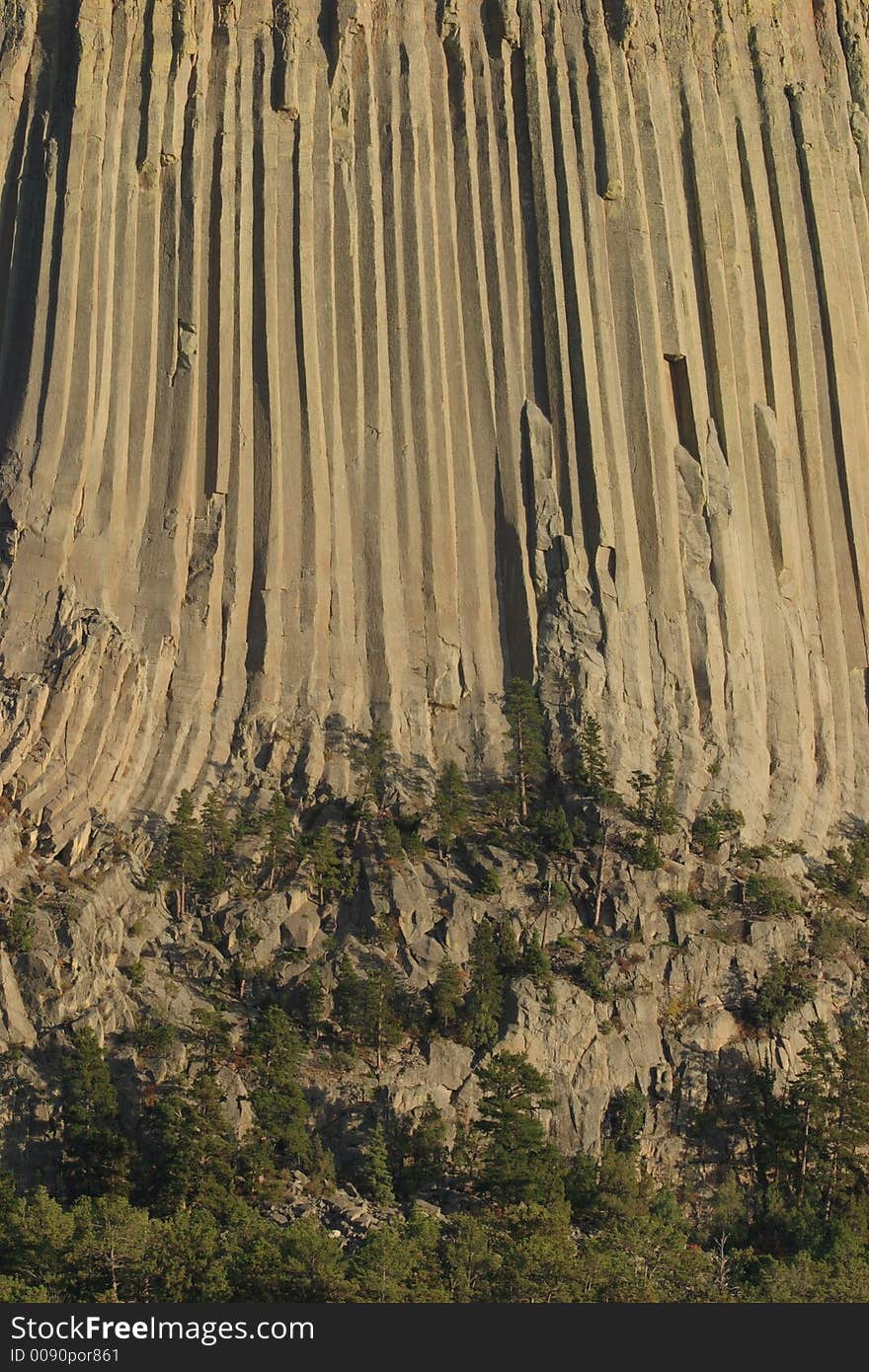 Devils Tower Tree Line