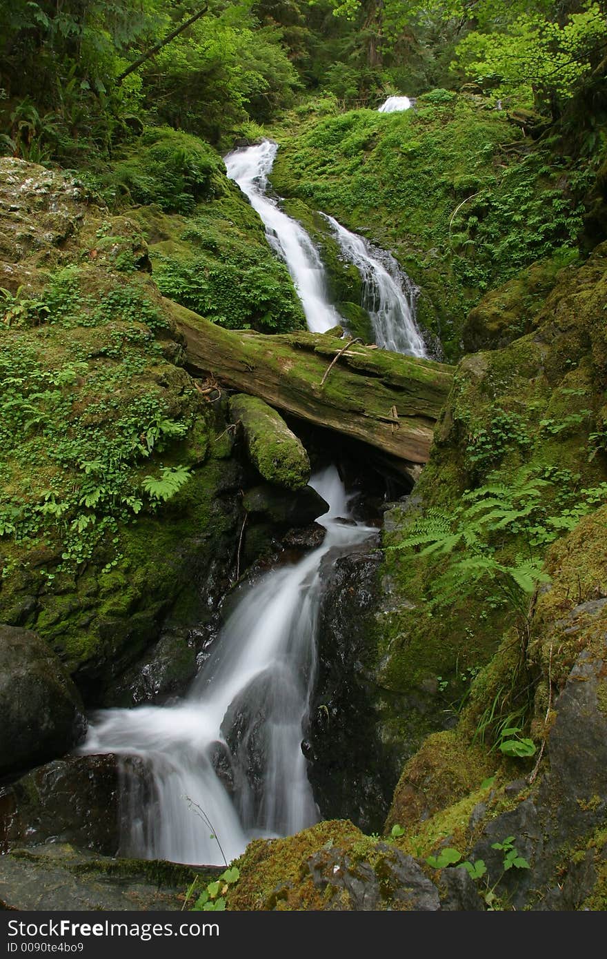 Quinault Area Waterfall