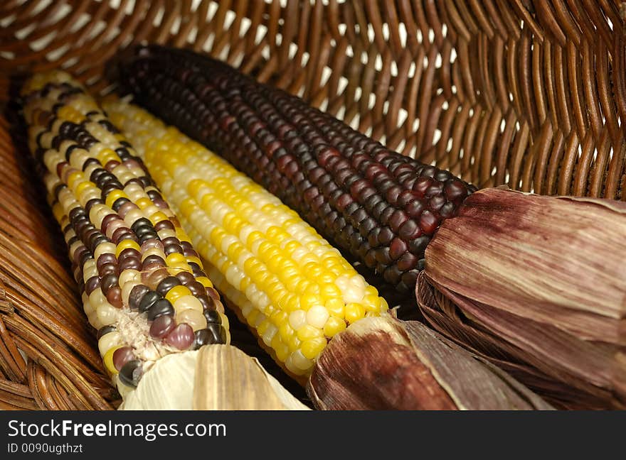 Photo of Corn on the Cobb in a Basket - Thanksgiving Concept