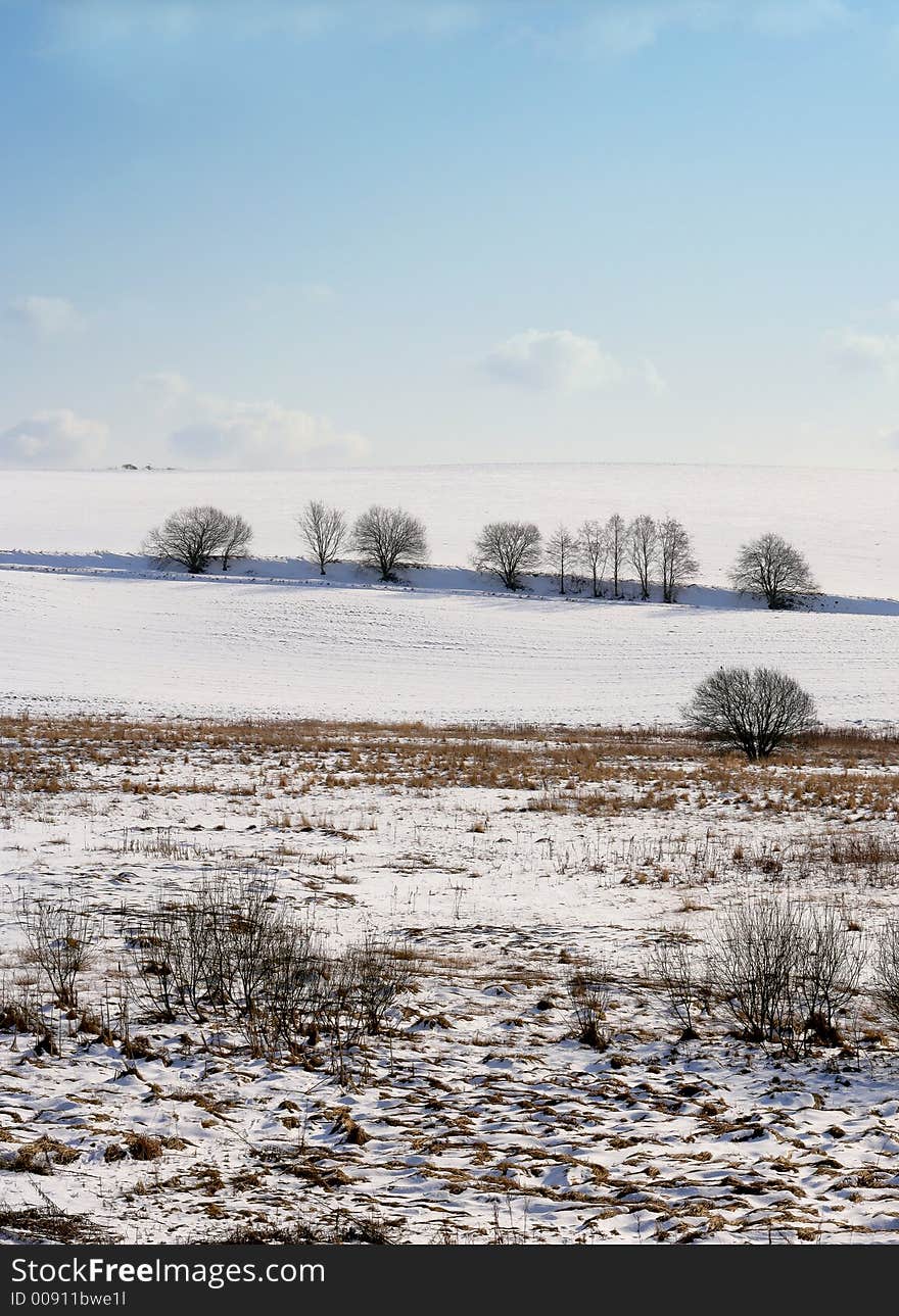 Winter in the countryside (Denmark). Winter in the countryside (Denmark)