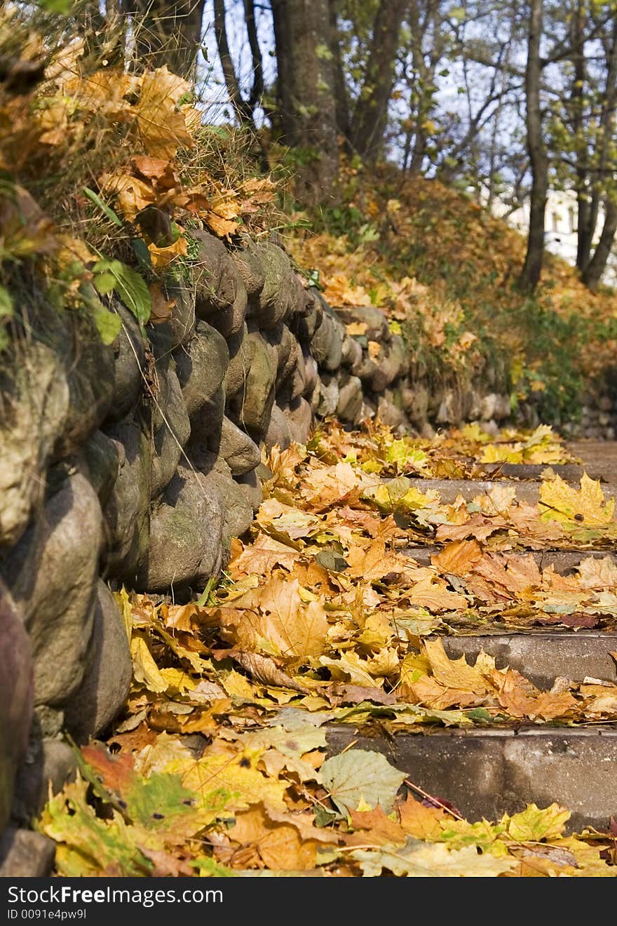 Stairs in autumnal park covered with maple leaves. Stairs in autumnal park covered with maple leaves.