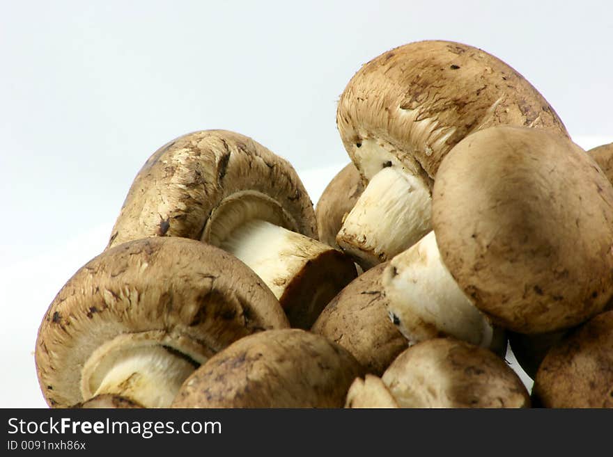 Chestnut Mushrooms