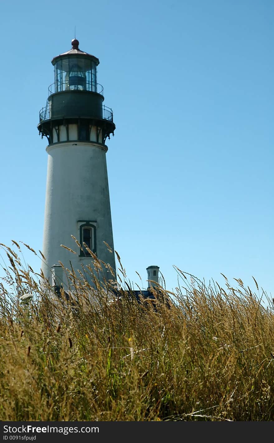 Lighthouse with grass