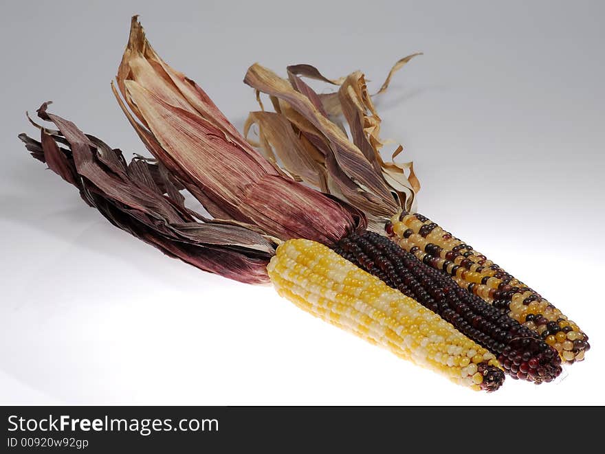 Photo of Corn - Thanksgiving / Fall Related