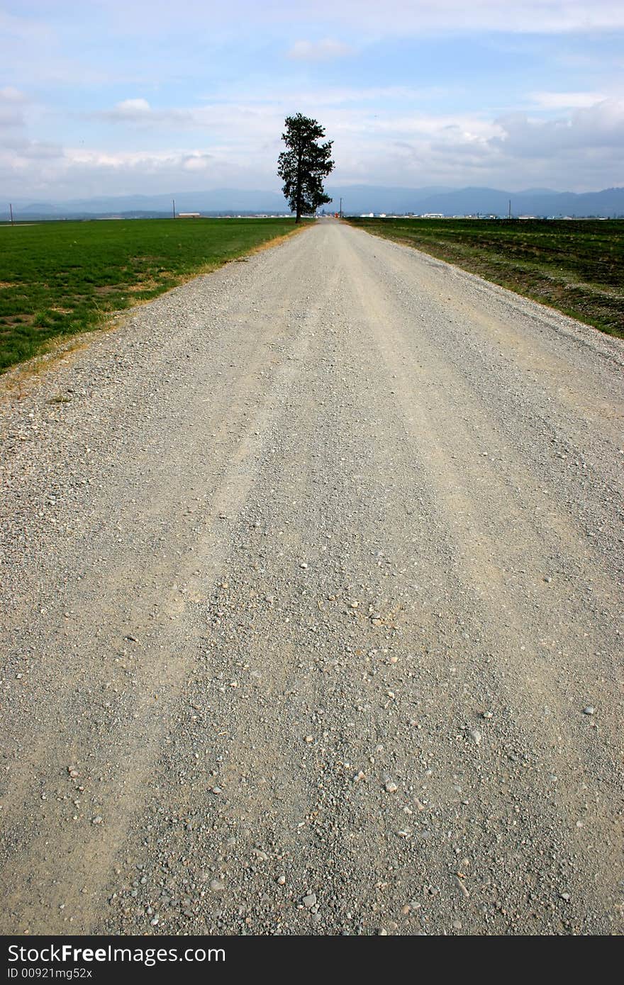 Tree At The End Of The Road.