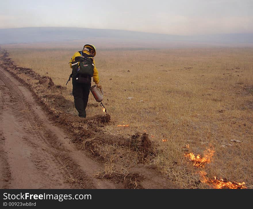 Setting a backfire near Chadron, Nebraska