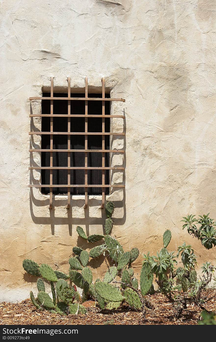 Wall with window and cacti