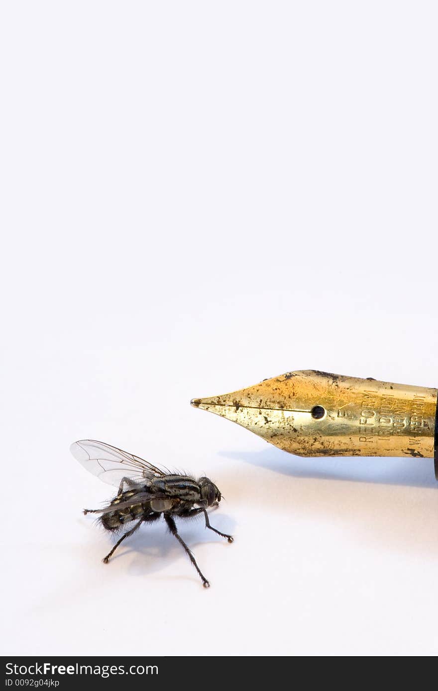 Fly on white background with an old golden pen