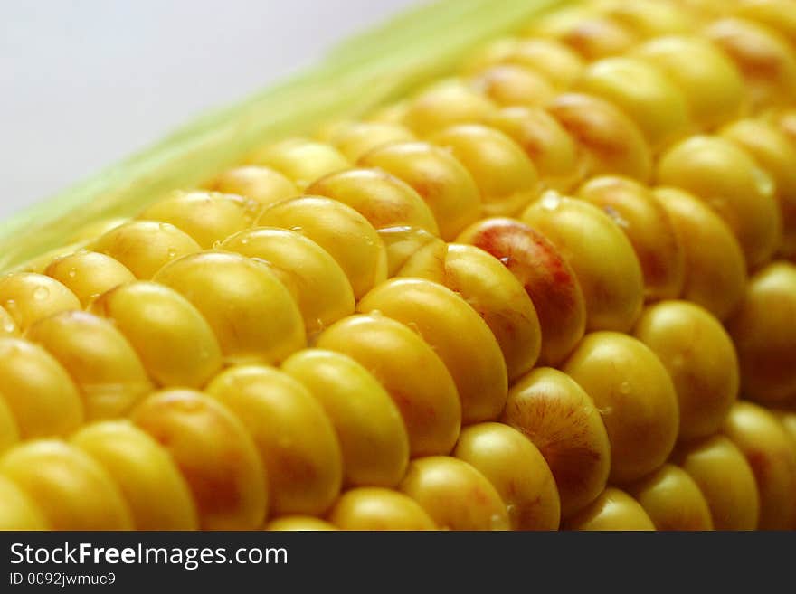 Damp grain with drops close-up. The macro-ring is used. Damp grain with drops close-up. The macro-ring is used