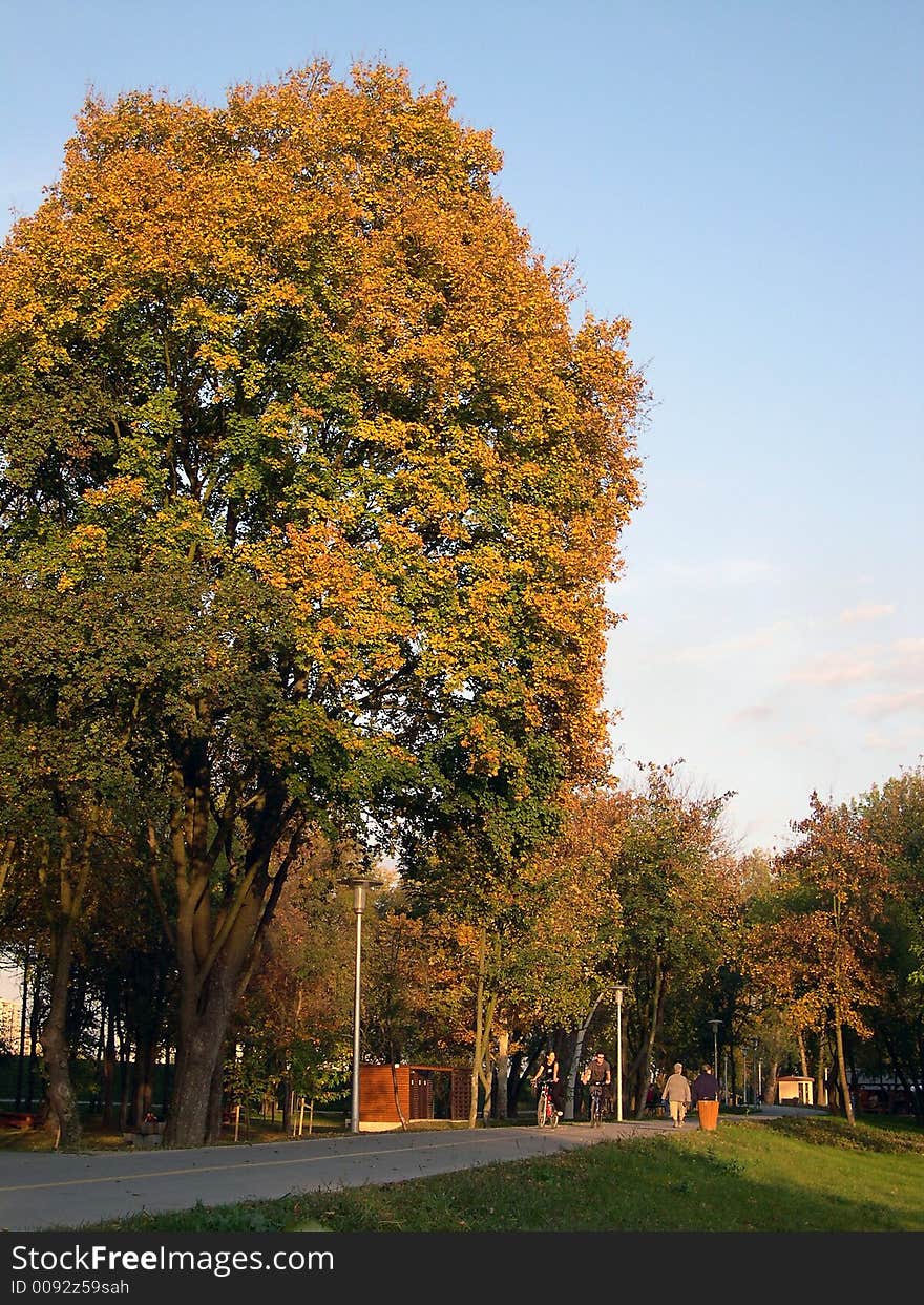 People walking in beautiful autumn day. People walking in beautiful autumn day