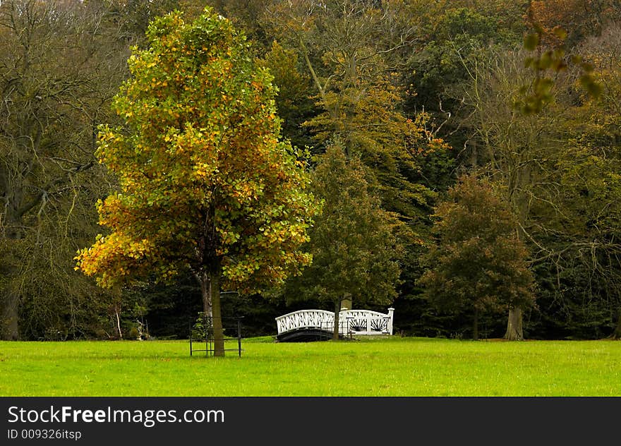 Autumn in the park