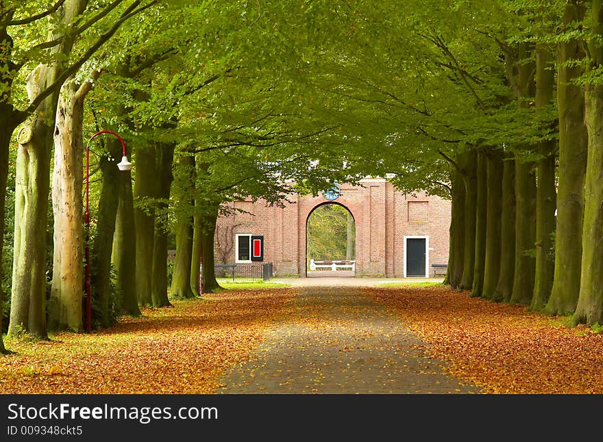 A road through the forest in fall. A road through the forest in fall