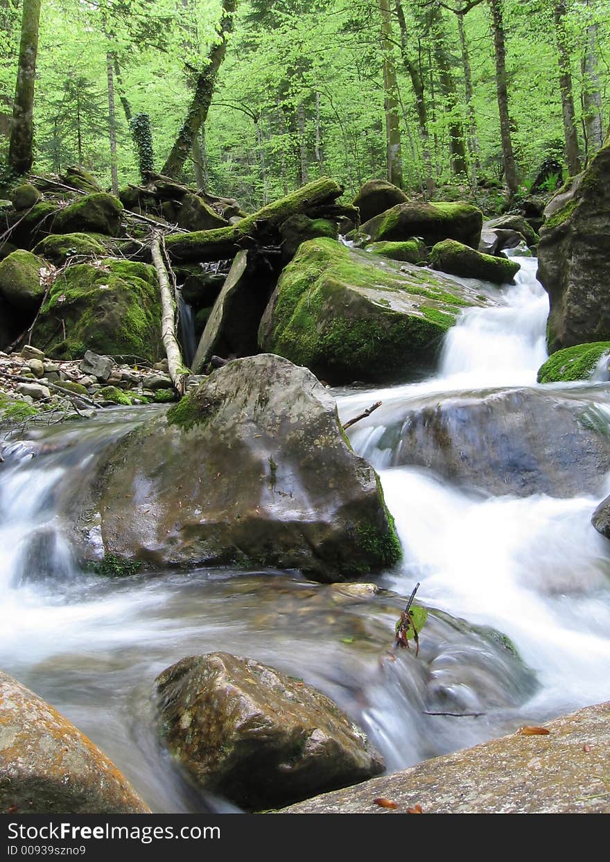 Beautiful waterfall in the spring forest