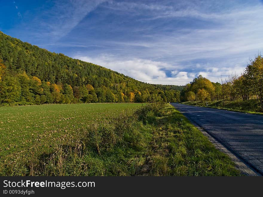 Autumn, forest near Zlotoryja town in Poland. Autumn, forest near Zlotoryja town in Poland