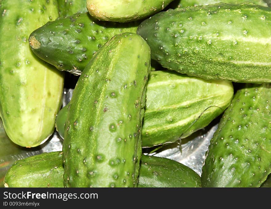 Photo of many fresh cucumbers. Photo of many fresh cucumbers