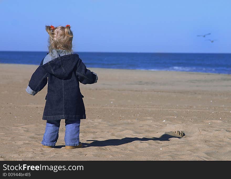 A toddler girl looks out at the ocean and seagulls on a chilly autumn day. A toddler girl looks out at the ocean and seagulls on a chilly autumn day