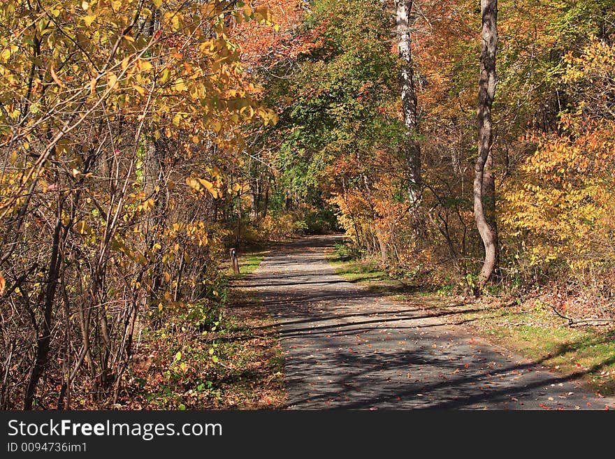 Road through Autumn forest