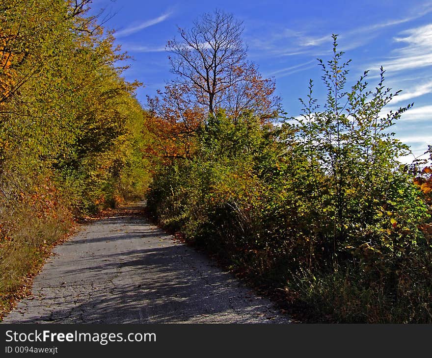 Fall in nature, red trees ad blue sky. Fall in nature, red trees ad blue sky.