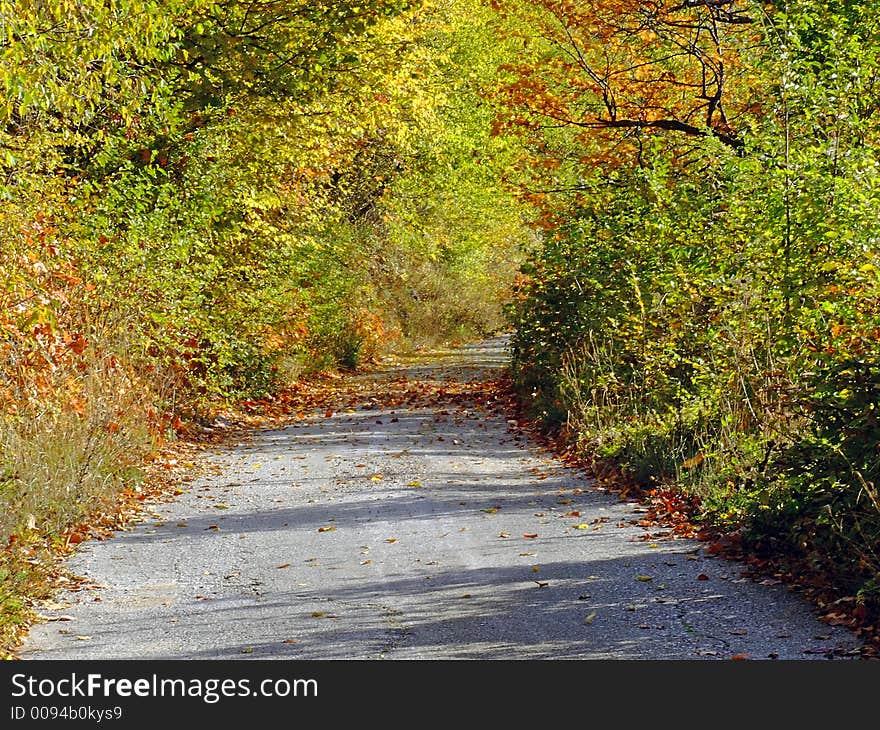 Path at sunny fall day. Path at sunny fall day