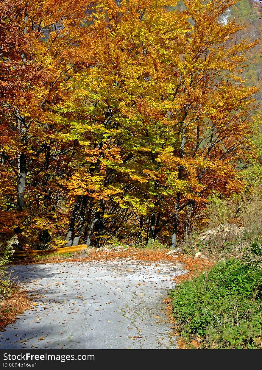 Fall in nature, red trees ad blue sky. Fall in nature, red trees ad blue sky.