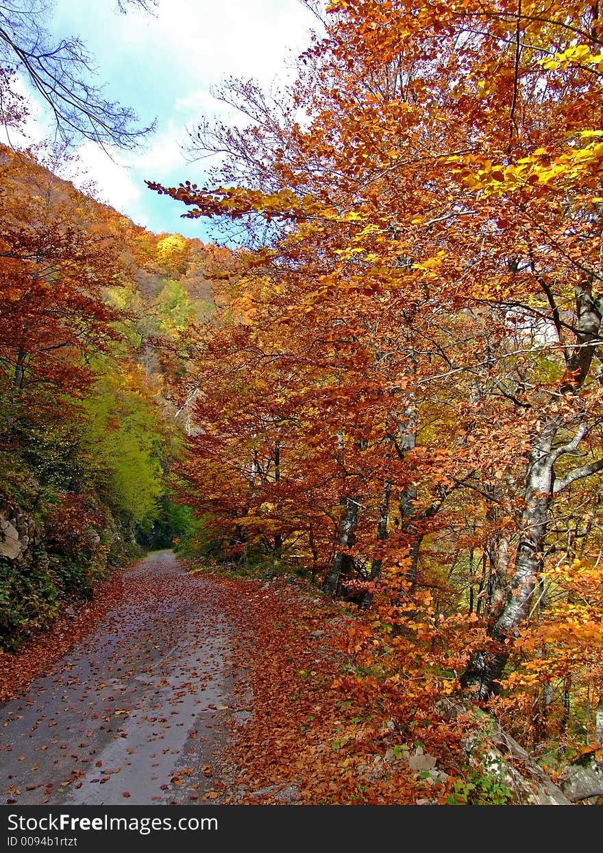 Path at sunny fall day. Path at sunny fall day