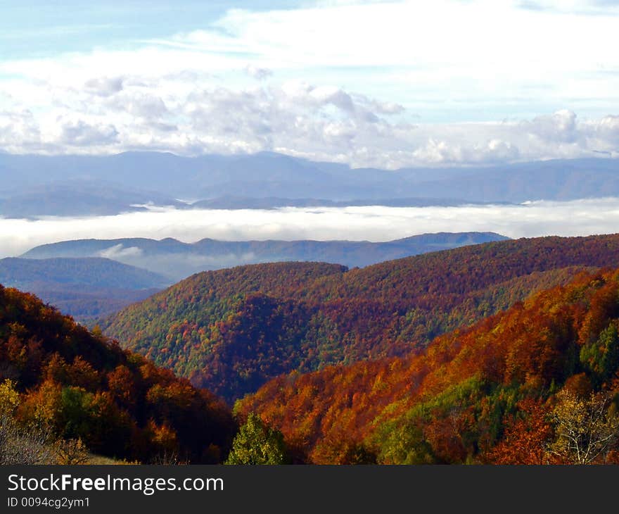 Fall in nature, red trees ad blue sky. Fall in nature, red trees ad blue sky.