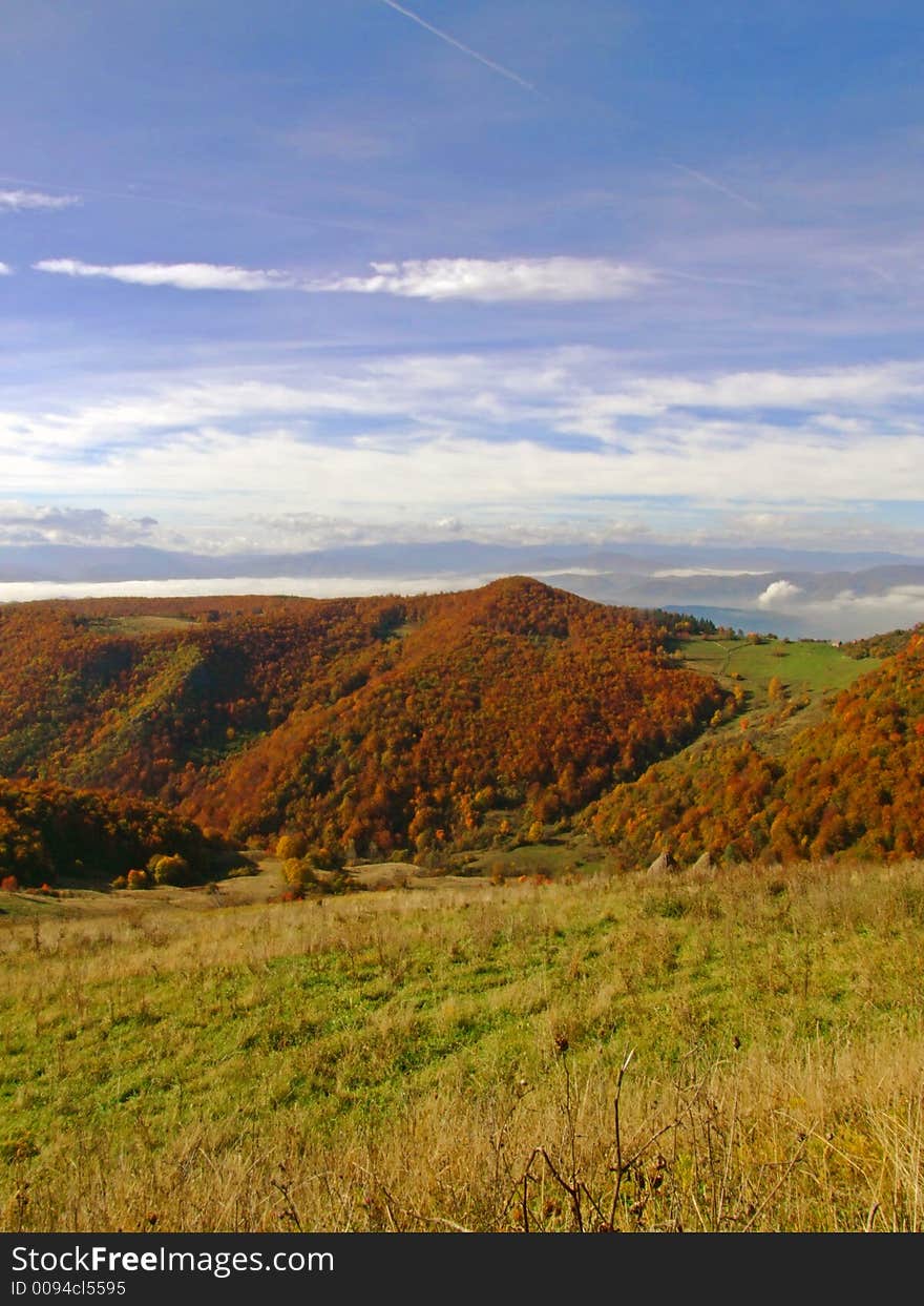 Fall in nature, red trees ad blue sky. Fall in nature, red trees ad blue sky.