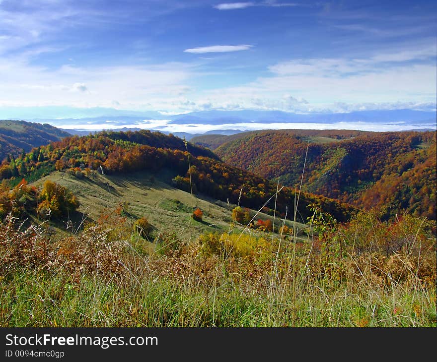 Fall in nature, red trees ad blue sky. Fall in nature, red trees ad blue sky.