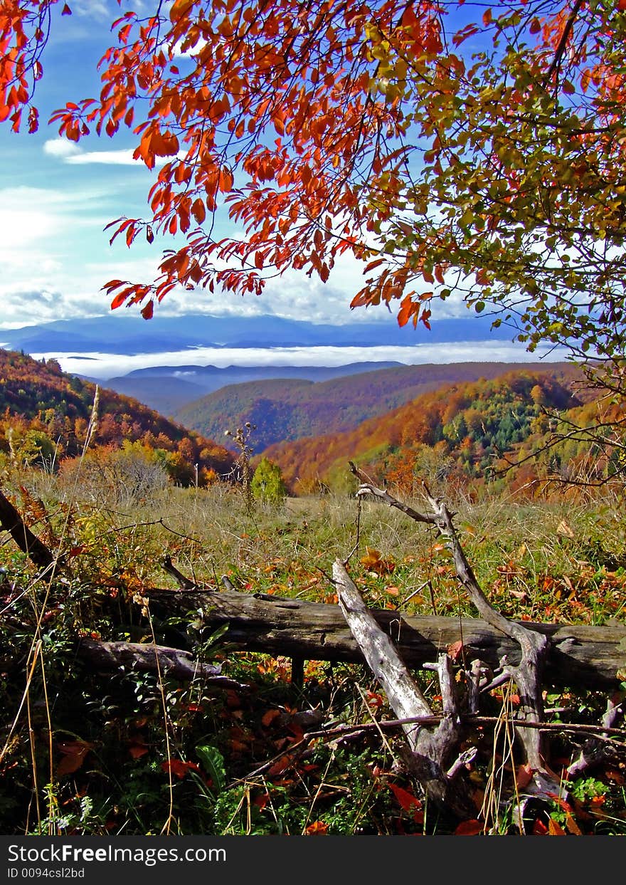 Fall in nature, red trees ad blue sky. Fall in nature, red trees ad blue sky.