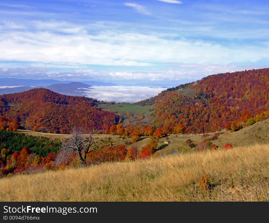 Fall in nature, red trees ad blue sky. Fall in nature, red trees ad blue sky.