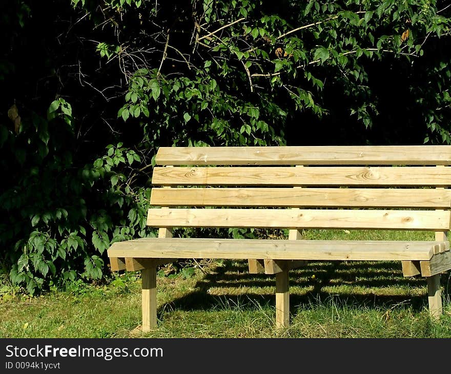 A secluded wooden park bench with trees and grass. A secluded wooden park bench with trees and grass