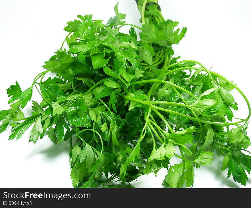 A bunch of parsley on pure white background