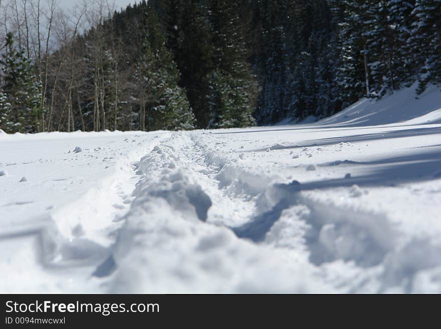 Tracks in snow