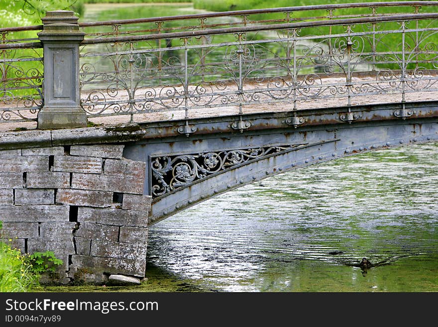 Bridge In Park