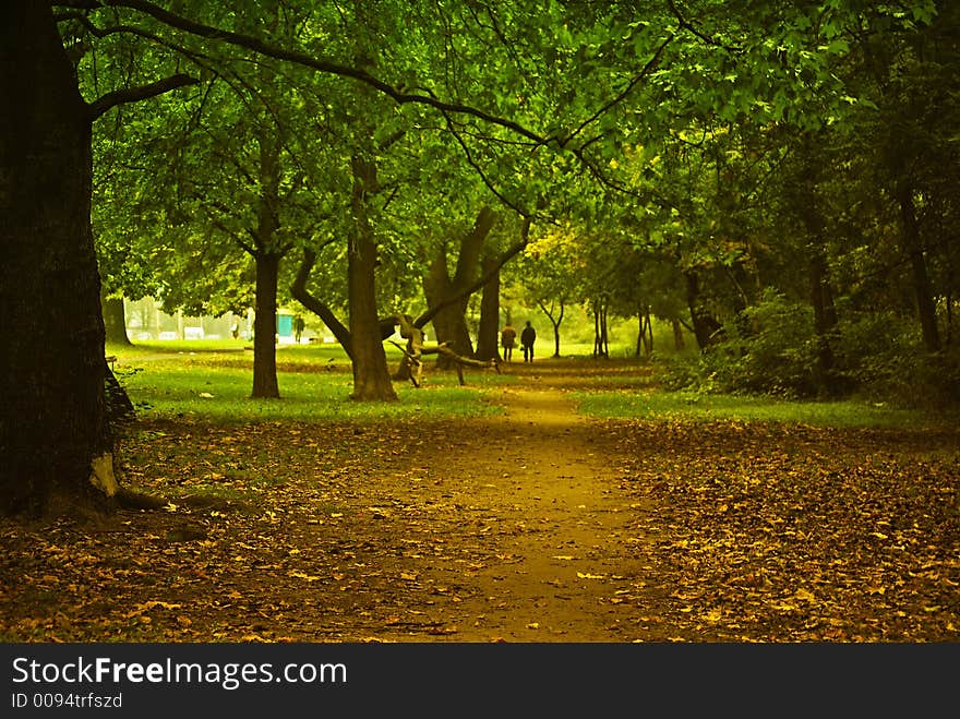 Park in autumn, calm afternoon