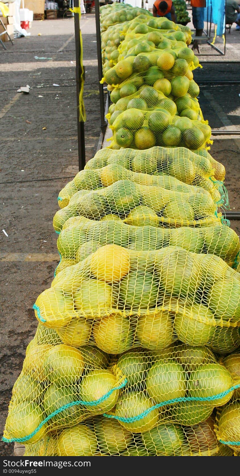 A long line of oranges in their bags ready to be sold at an outdoor market.  These oranges are mainly green, but ripe and sweet tasting. A long line of oranges in their bags ready to be sold at an outdoor market.  These oranges are mainly green, but ripe and sweet tasting.