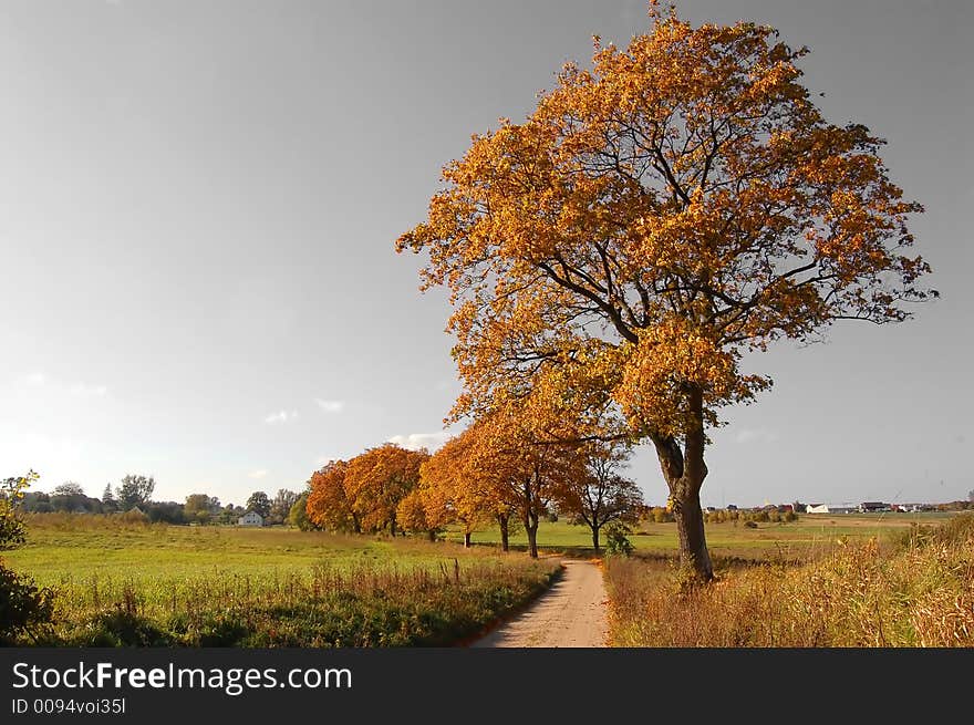 Autumn fall landscape and country path. Black and white sky. Autumn fall landscape and country path. Black and white sky.